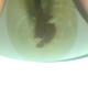 A very cute girl filmed from under the toilet seat. Pee stream into the bowl. No pooping shown. Brief clip. Filmed from a between the legs perspective. Vertical format video. Almost a minute and a half.